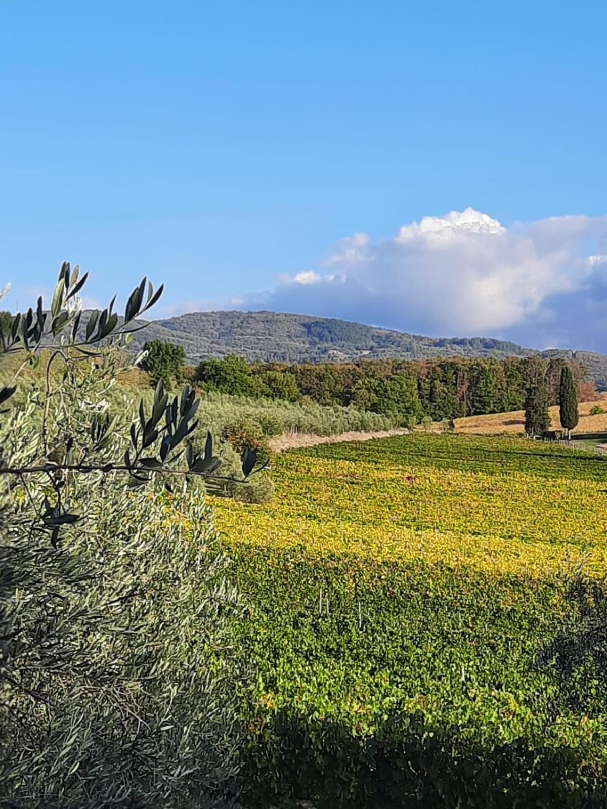 Agriturismo Circugnano Grassina Exteriér fotografie