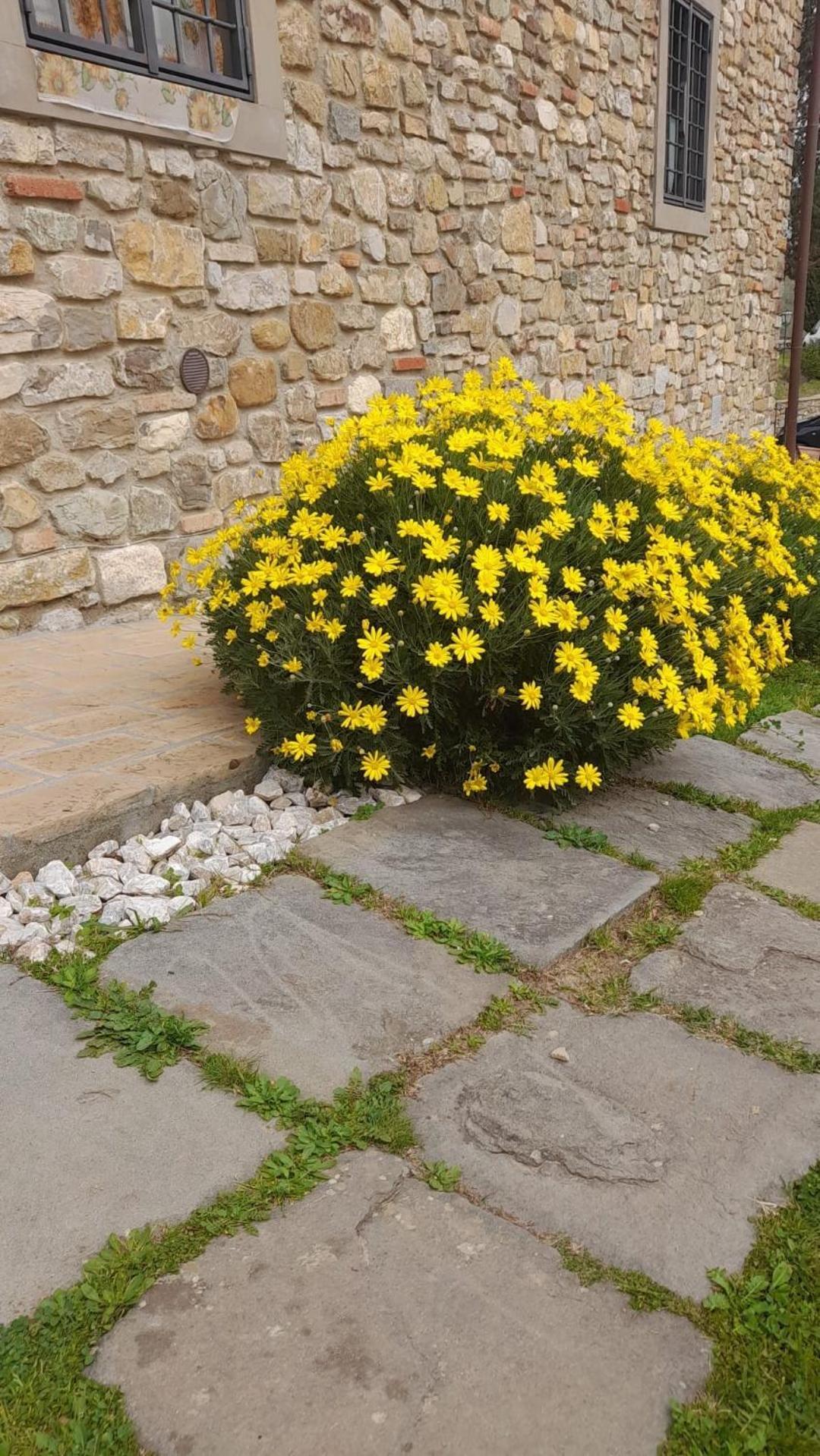 Agriturismo Circugnano Grassina Exteriér fotografie
