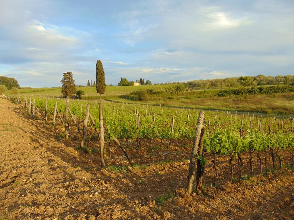 Agriturismo Circugnano Grassina Exteriér fotografie